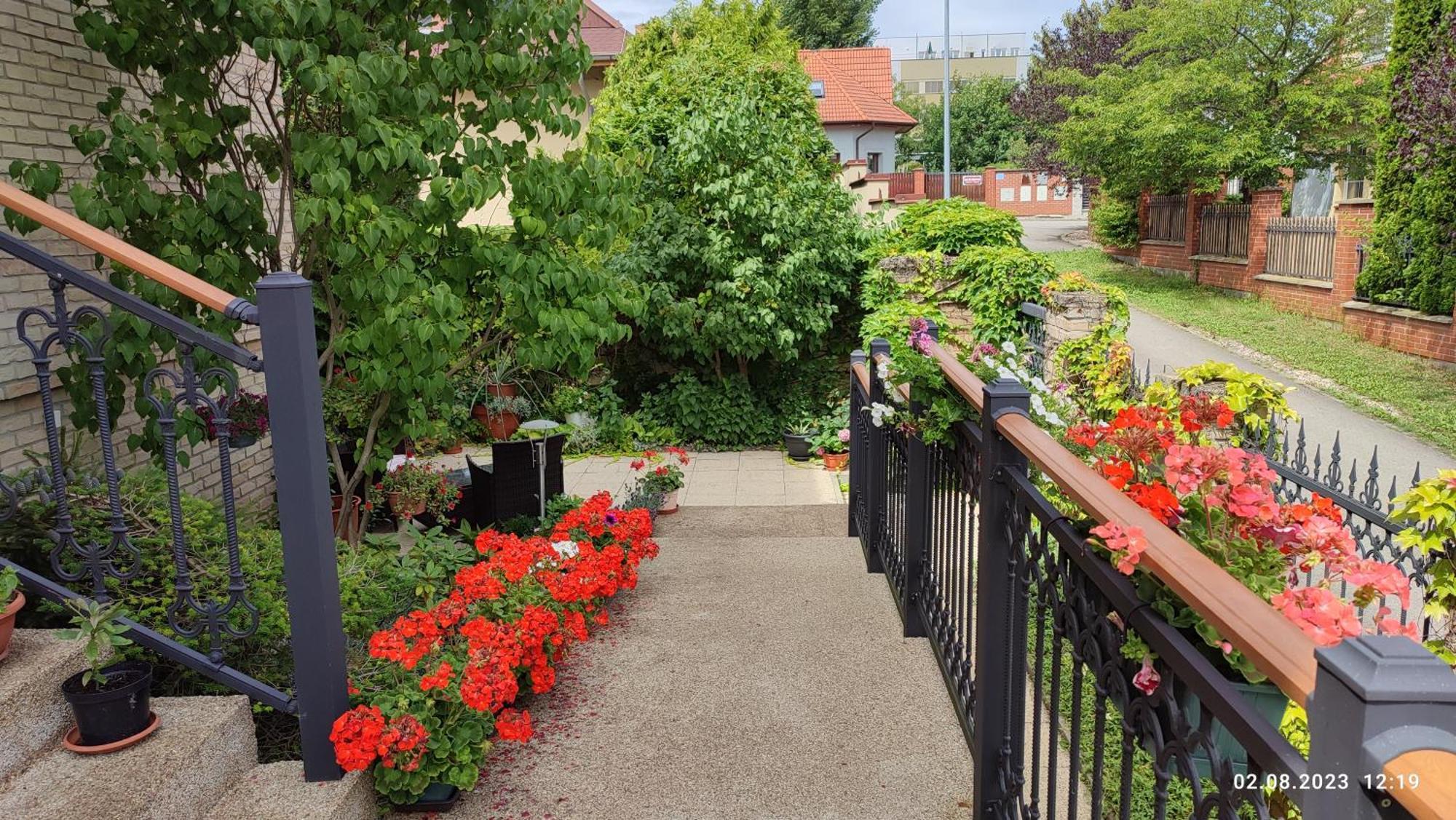 Villa Homestay Nad Helmrovkou Прага Екстериор снимка